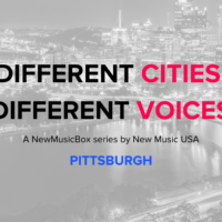 Pittsburgh DCDV (Web Header)